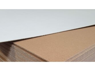 Carton ondulat albit