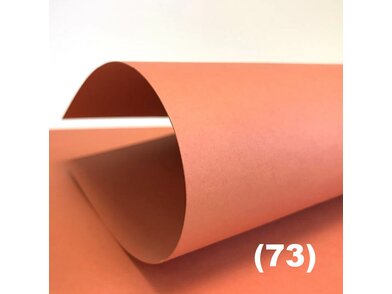 Color STYLE Fresh 73 copper orange