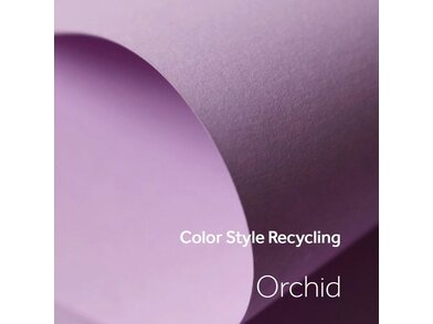 CSR orchid