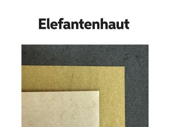 range_elefantenhaut