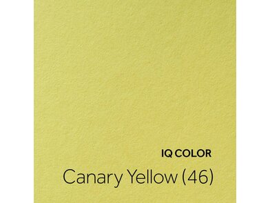 IQ COLOR Canary Yellow 46