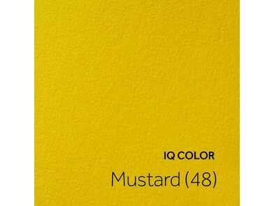 IQ COLOR Mustard 48
