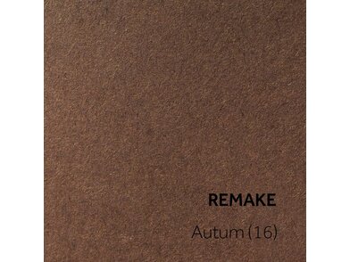 Remake autumn16