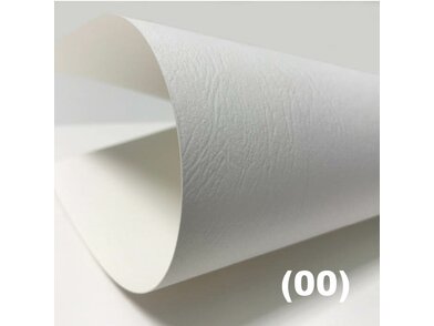 Color STYLE Leather 00 white