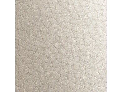 Gmund Leather_Coin