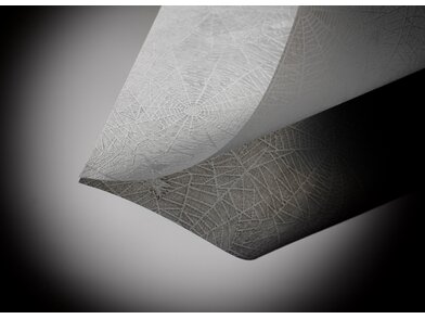 Pergamyn Spider 1