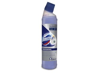 7518656_Domestos Professional Detartrant Pentru Toaletă 0.75L
